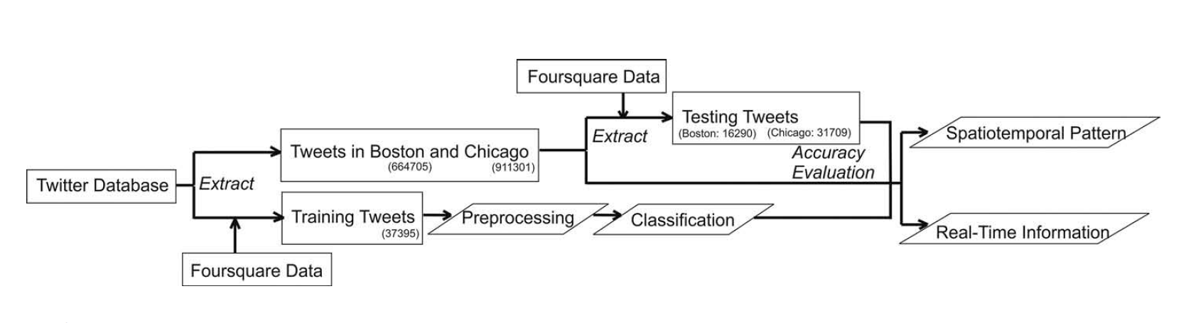 Workflow of the study