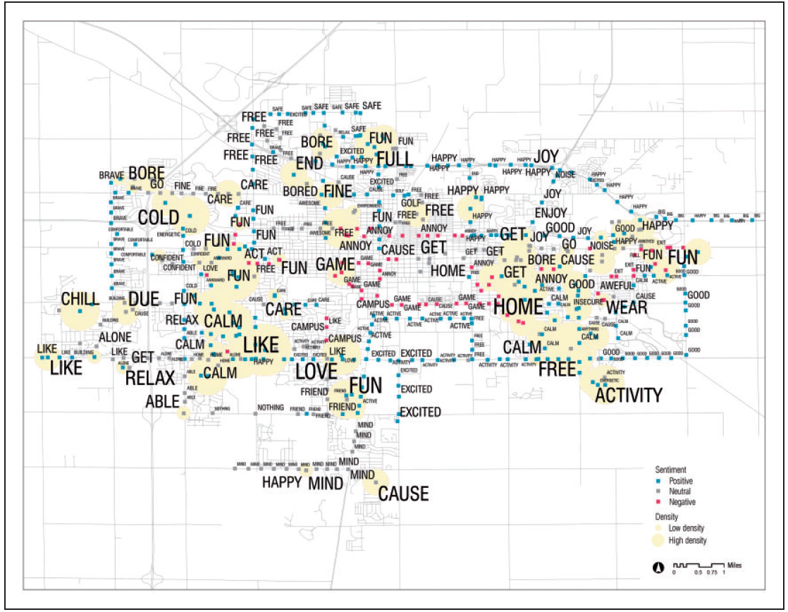 Figure 1: Georeferenced word-cloud of adolescents’ narratives, Champaign-Urbana, IL