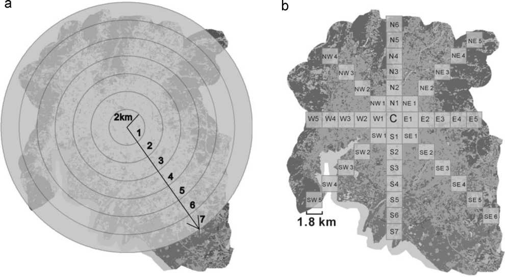 Map of Kunming showing concentric belts and directional transects
